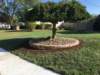 _landscaping21_small.jpg