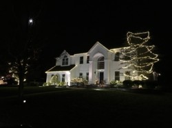 Holiday Lighting